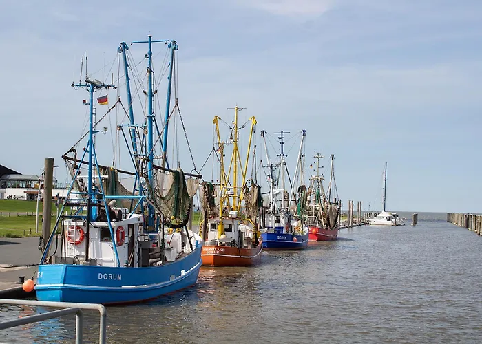 בית נופש Westertill 06 *